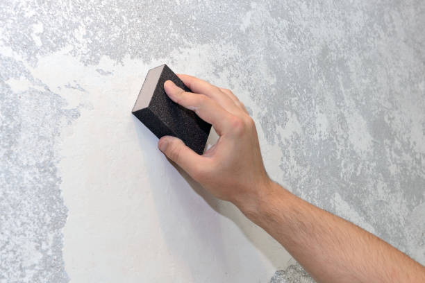 Best Emergency Mold Remediation  in Oconto Falls, WI