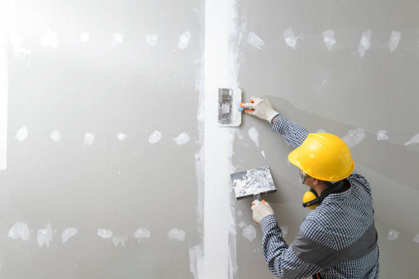 Mold Remediation for Rental Properties in Oconto Falls, WI