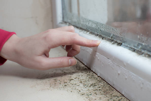 Best Air Quality Testing for Mold Spores  in Oconto Falls, WI