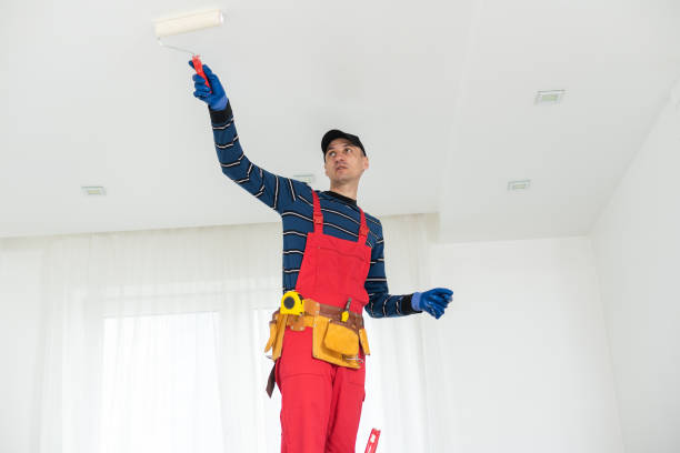 Biohazard Mold Removal in Oconto Falls, WI