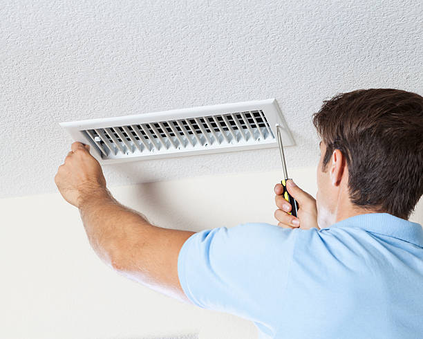 Best Attic Mold Removal  in Oconto Falls, WI