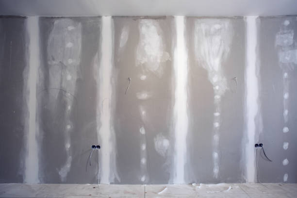 Best HVAC Mold Inspection and Cleaning  in Oconto Falls, WI