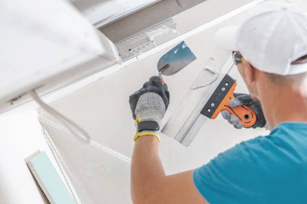 Reliable Oconto Falls, WI Mold Removal Solutions